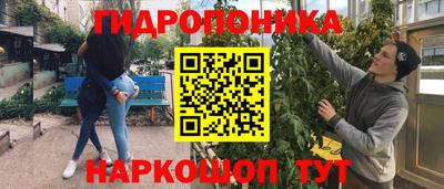 винт Тула