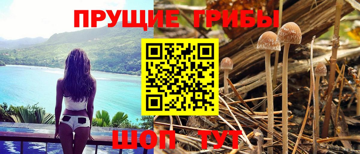 Галлюциногенные грибы Magic Shrooms  Вход с VPN  Белогорск 